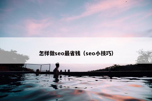 怎样做seo最省钱（seo小技巧）