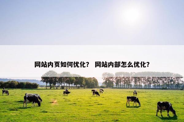 网站内页如何优化？ 网站内部怎么优化？