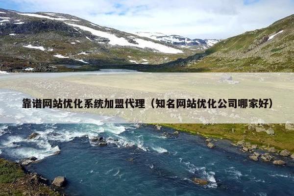 靠谱网站优化系统加盟代理（知名网站优化公司哪家好）