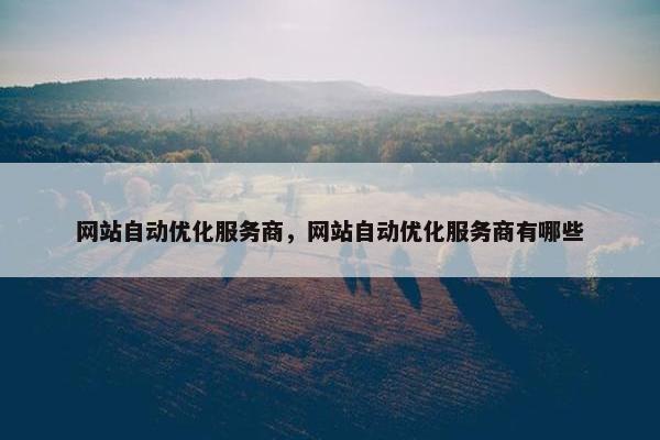 网站自动优化服务商，网站自动优化服务商有哪些