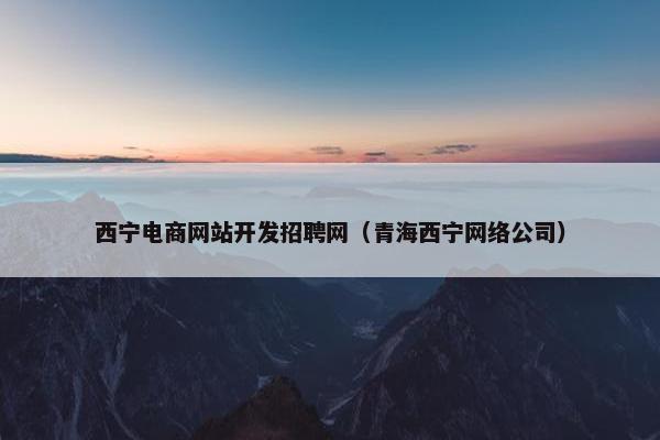 西宁电商网站开发招聘网（青海西宁网络公司）