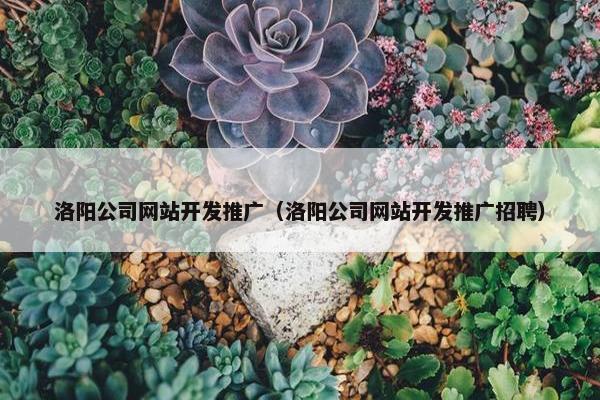 洛阳公司网站开发推广（洛阳公司网站开发推广招聘）