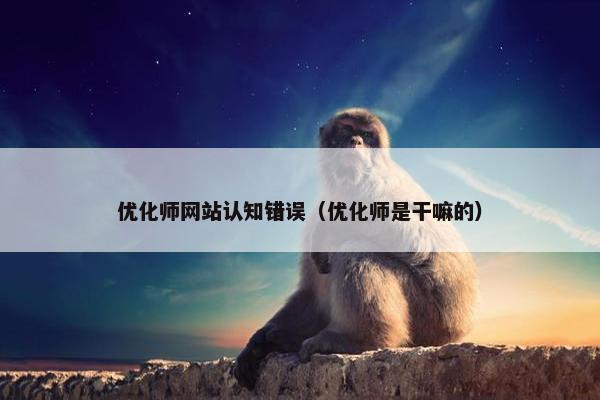 优化师网站认知错误（优化师是干嘛的）