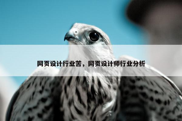 网页设计行业苦，网页设计师行业分析