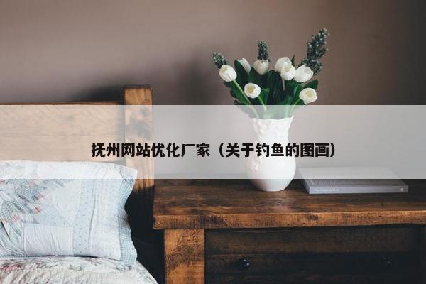 抚州网站优化厂家（关于钓鱼的图画）