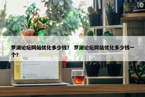 罗湖论坛网站优化多少钱？ 罗湖论坛网站优化多少钱一个？