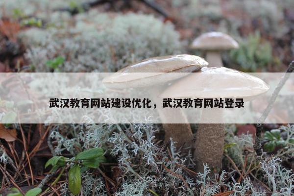 武汉教育网站建设优化，武汉教育网站登录