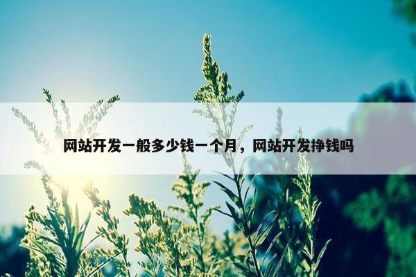 网站开发一般多少钱一个月，网站开发挣钱吗