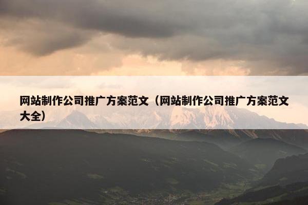 网站制作公司推广方案范文（网站制作公司推广方案范文大全）