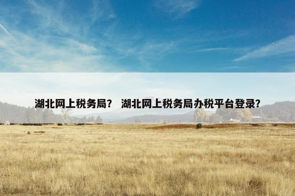 湖北网上税务局？ 湖北网上税务局办税平台登录？