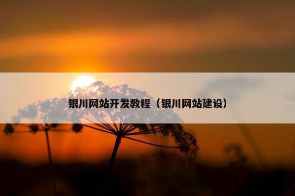银川网站开发教程（银川网站建设）