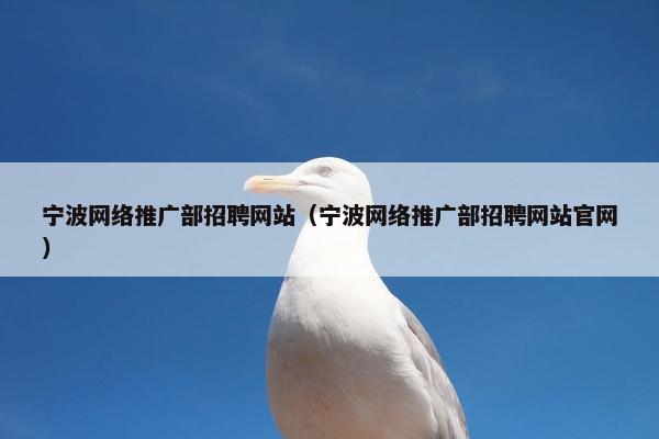 宁波网络推广部招聘网站（宁波网络推广部招聘网站官网）