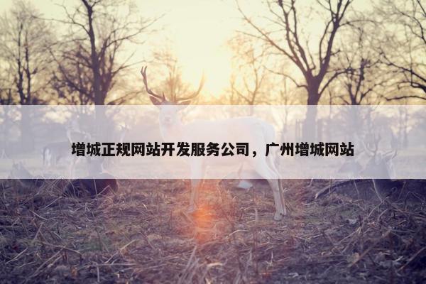 增城正规网站开发服务公司，广州增城网站