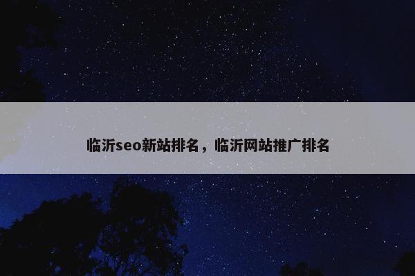 临沂seo新站排名，临沂网站推广排名