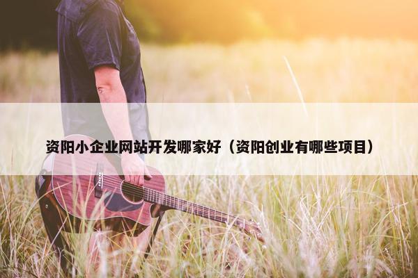 资阳小企业网站开发哪家好（资阳创业有哪些项目）