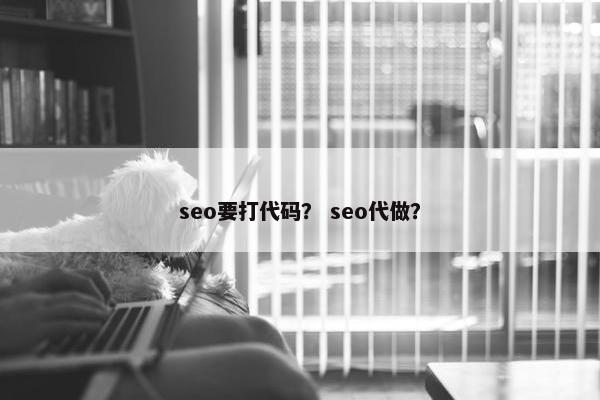 seo要打代码？ seo代做？