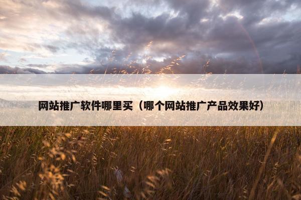 网站推广软件哪里买（哪个网站推广产品效果好）