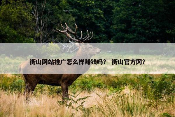 衡山网站推广怎么样赚钱吗？ 衡山官方网？