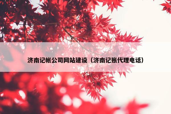 济南记帐公司网站建设（济南记账代理电话）