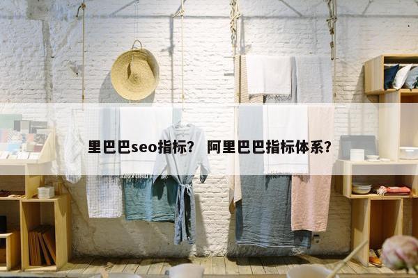 里巴巴seo指标？ 阿里巴巴指标体系？