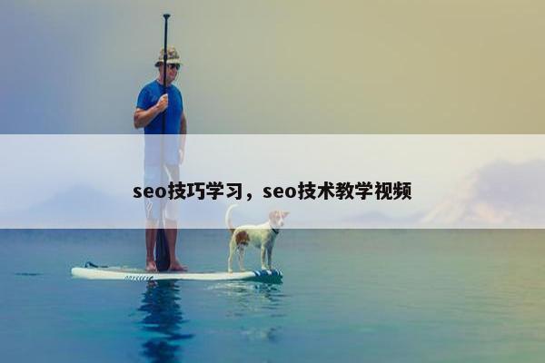 seo技巧学习，seo技术教学视频
