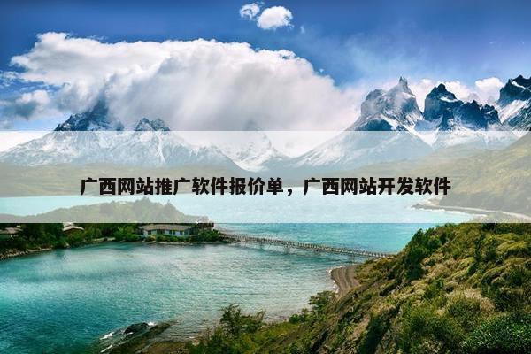 广西网站推广软件报价单，广西网站开发软件