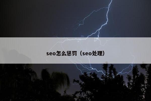 seo怎么惩罚（seo处理）