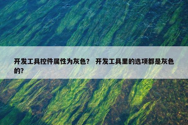 开发工具控件属性为灰色？ 开发工具里的选项都是灰色的？