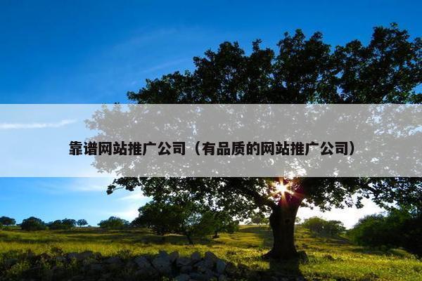 靠谱网站推广公司（有品质的网站推广公司）