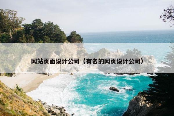 网站页面设计公司（有名的网页设计公司）