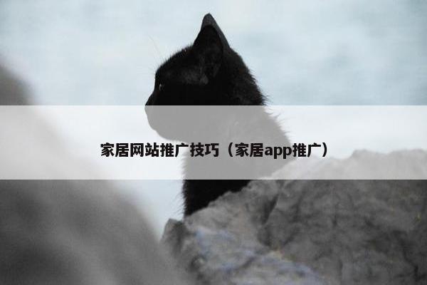 家居网站推广技巧（家居app推广）