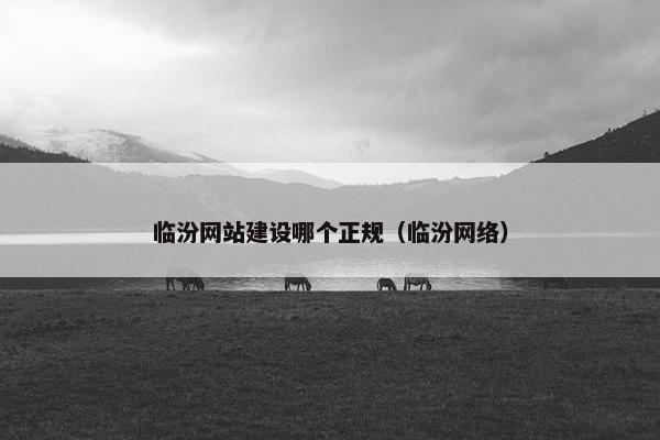 临汾网站建设哪个正规（临汾网络）