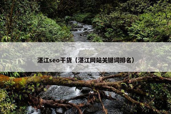湛江seo干货（湛江网站关键词排名）