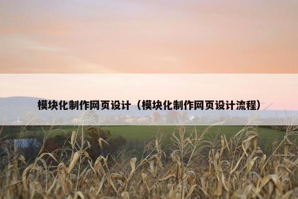 模块化制作网页设计（模块化制作网页设计流程）