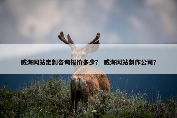 威海网站定制咨询报价多少？ 威海网站制作公司？