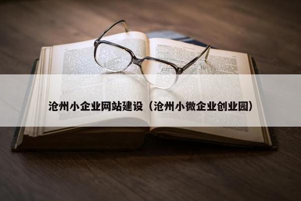 沧州小企业网站建设（沧州小微企业创业园）
