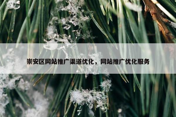 崇安区网站推广渠道优化，网站推广优化服务