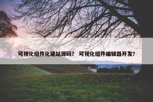 可视化组件化建站源码？ 可视化组件编辑器开发？