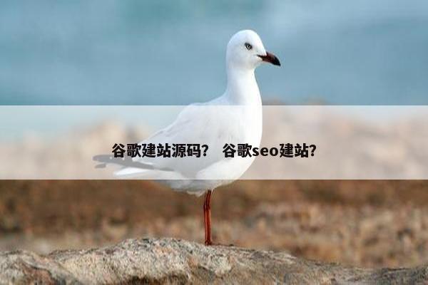 谷歌建站源码？ 谷歌seo建站？