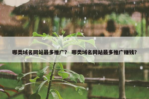哪类域名网站最多推广？ 哪类域名网站最多推广赚钱？