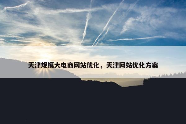 天津规模大电商网站优化，天津网站优化方案