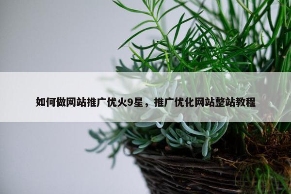 如何做网站推广优火9星，推广优化网站整站教程
