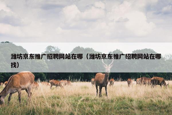 潍坊京东推广招聘网站在哪（潍坊京东推广招聘网站在哪找）