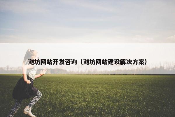 潍坊网站开发咨询（潍坊网站建设解决方案）