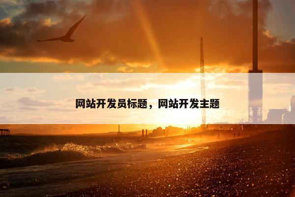 网站开发员标题，网站开发主题