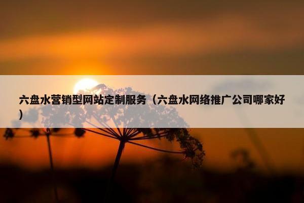 六盘水营销型网站定制服务（六盘水网络推广公司哪家好）