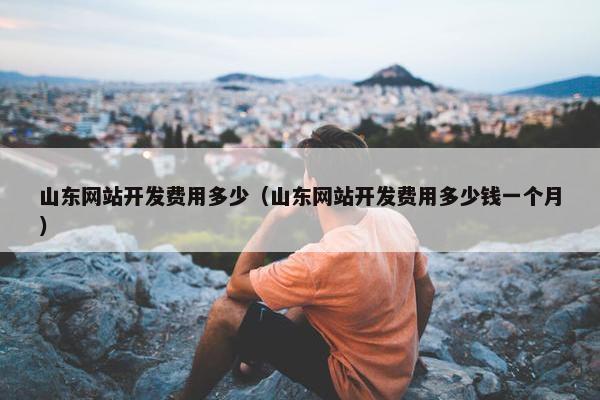 山东网站开发费用多少（山东网站开发费用多少钱一个月）