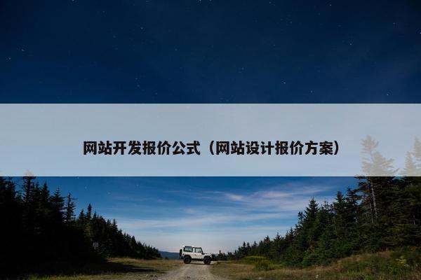 网站开发报价公式（网站设计报价方案）