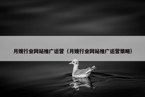 月嫂行业网站推广运营（月嫂行业网站推广运营策略）
