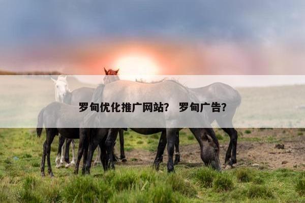 罗甸优化推广网站？ 罗甸广告？